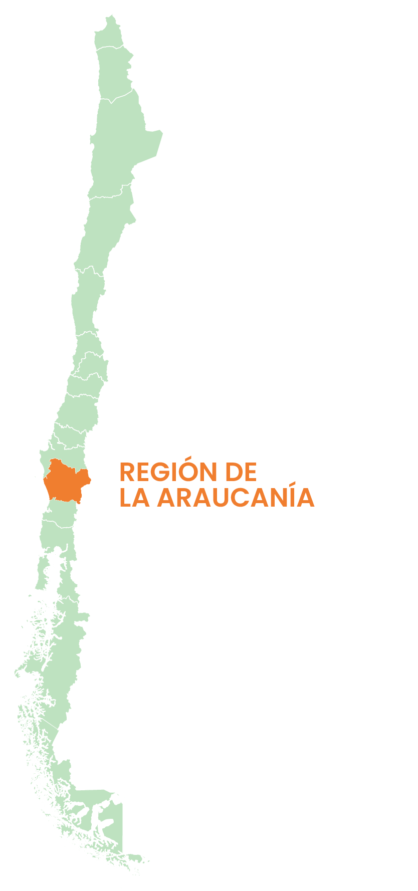 araucania