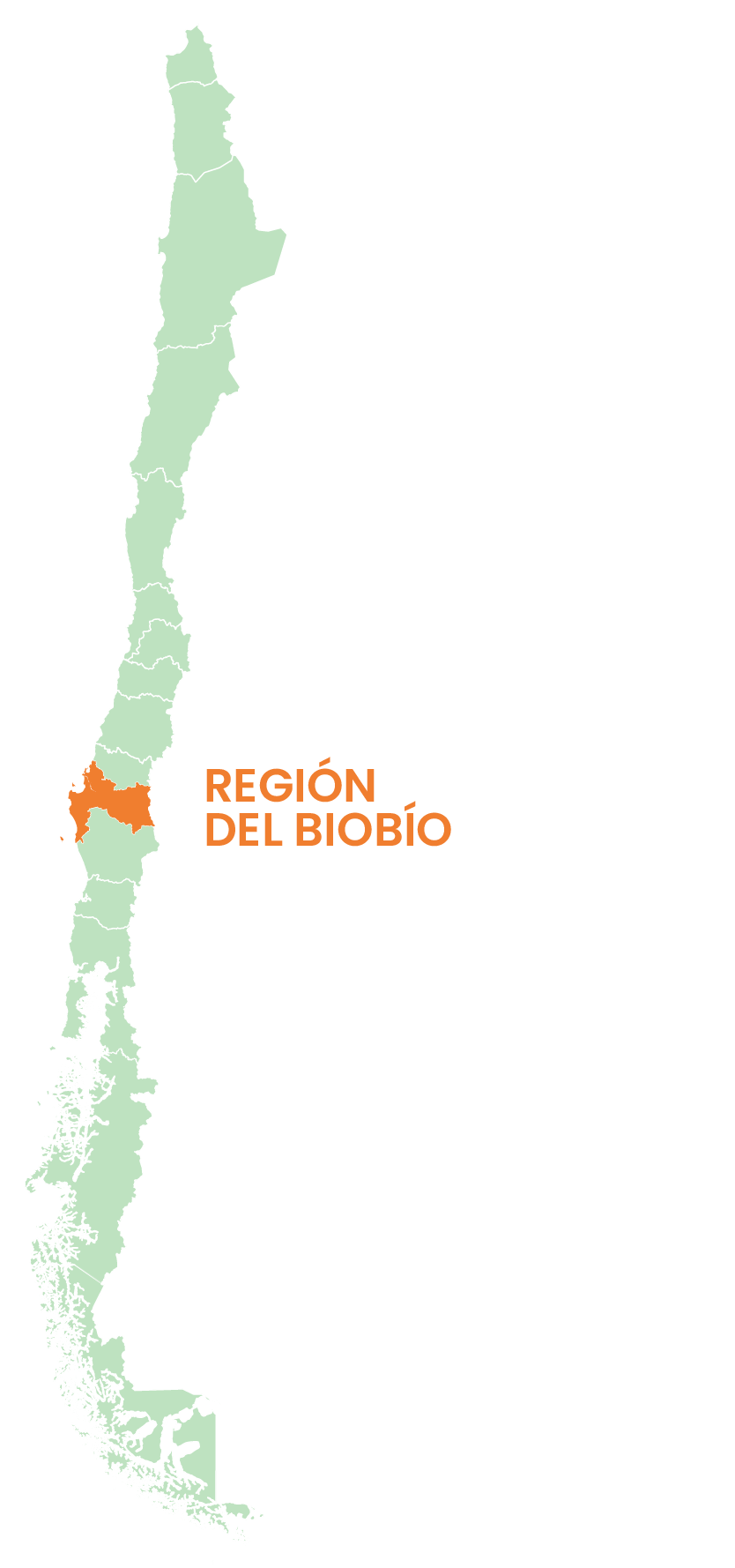 biobio