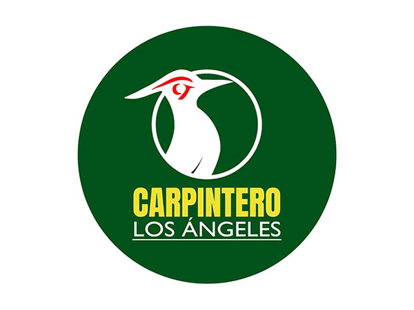 carpintero